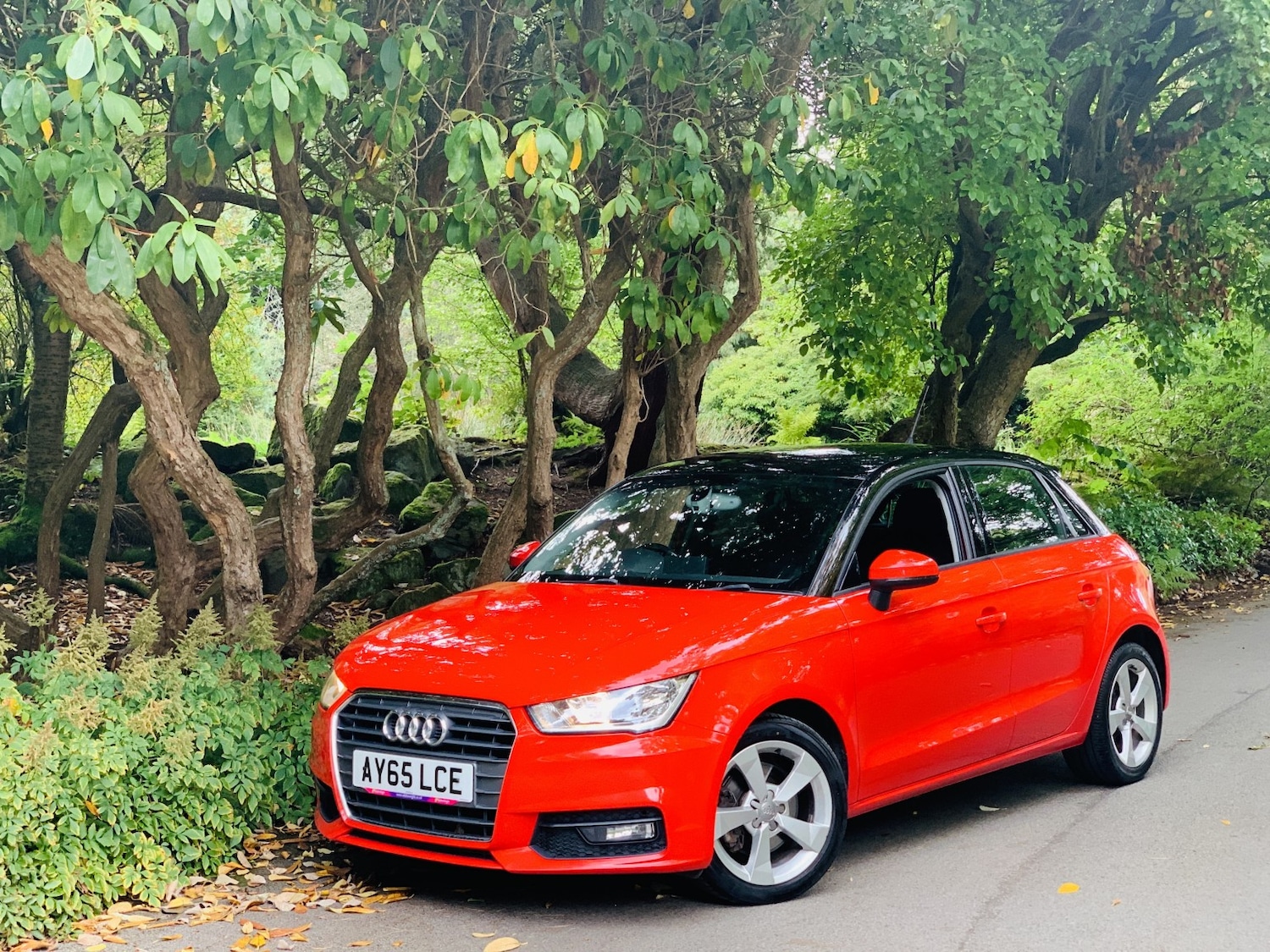 Used Audi A1 2015 for sale - 76334765: Photo 13