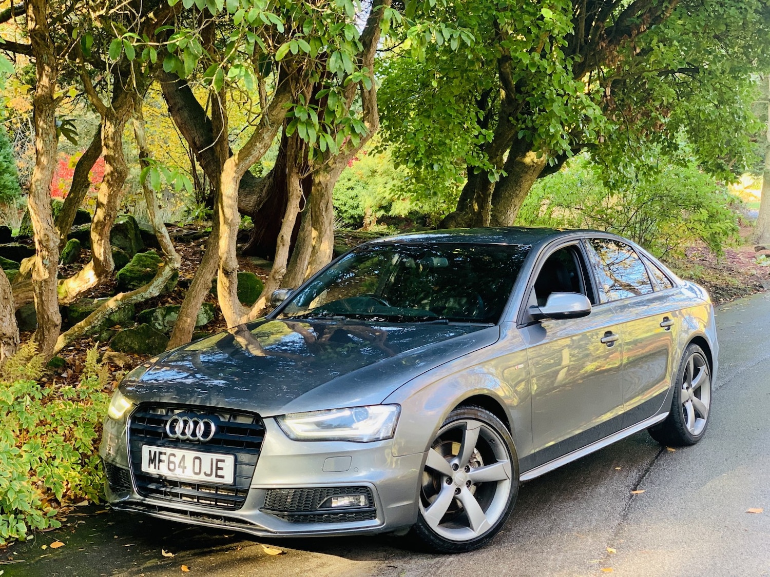 Used Audi A4 2014 for sale - 76439986: Photo 15