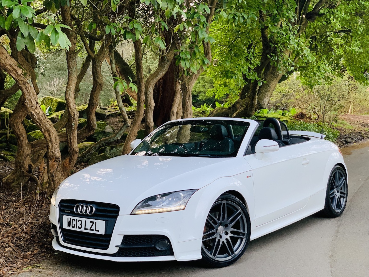 Used Audi TT 2013 for sale - 78176091: Photo 16