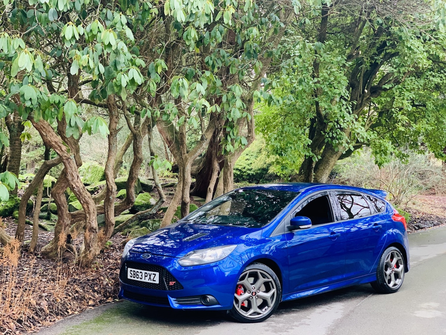 Used Ford Focus 2014 for sale - 77603372: Photo 14