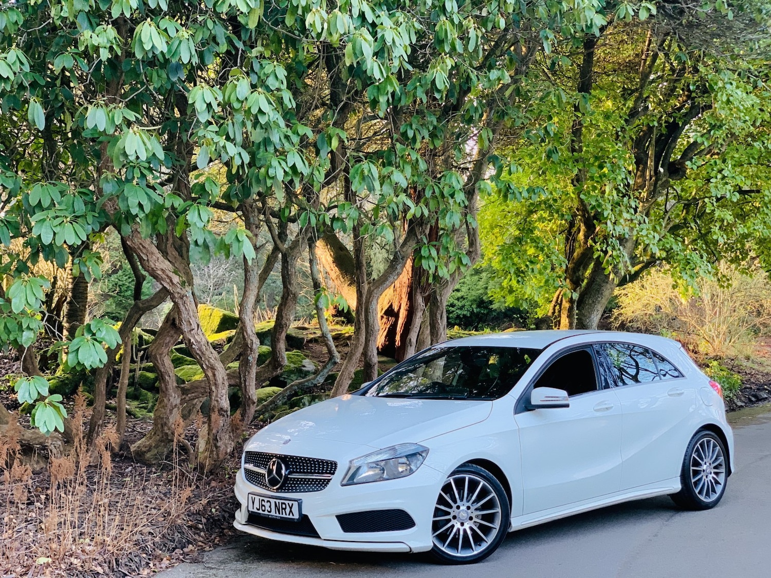 Used Mercedes-Benz A-Class 2013 for sale - 77945709: Photo 15