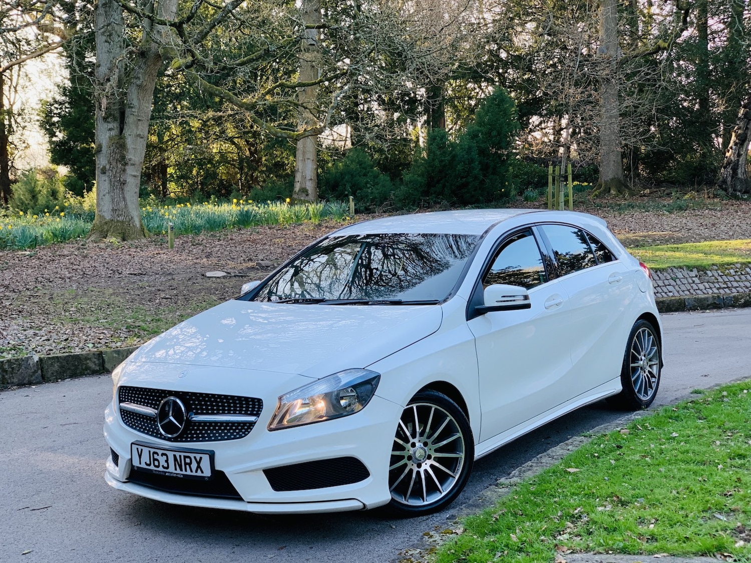 Used Mercedes-Benz A-Class 2013 for sale - 77945709: Photo 8