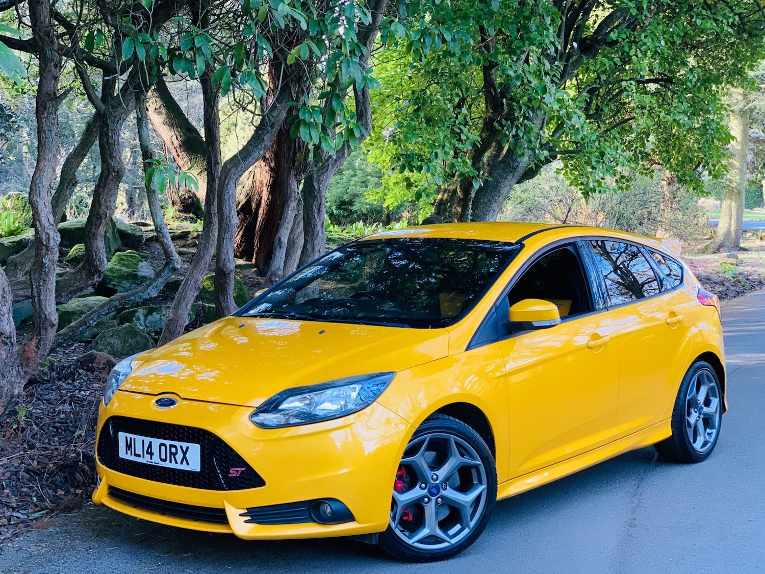 Used Ford Focus 2014 for sale - 78168961: Photo 14