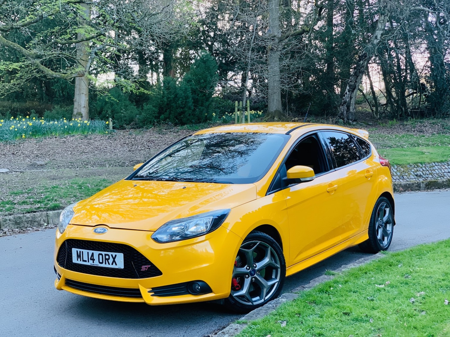 Used Ford Focus 2014 for sale - 78168961: Photo 8