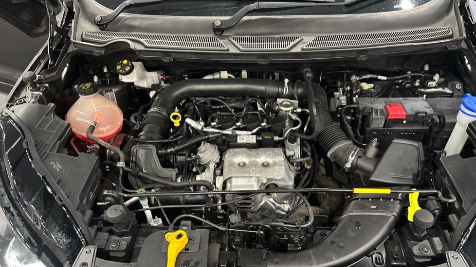 Used Ford Ecosport 2020 for sale - 76908100: Photo 16