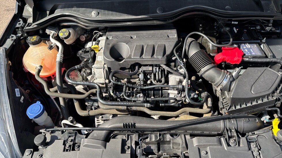 Used Ford Fiesta 2021 for sale - 75874063: Photo 16