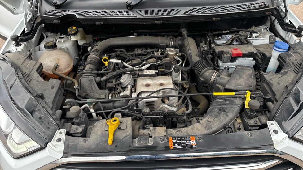 Used Ford Ecosport 2022 for sale - 76104401: Photo 16