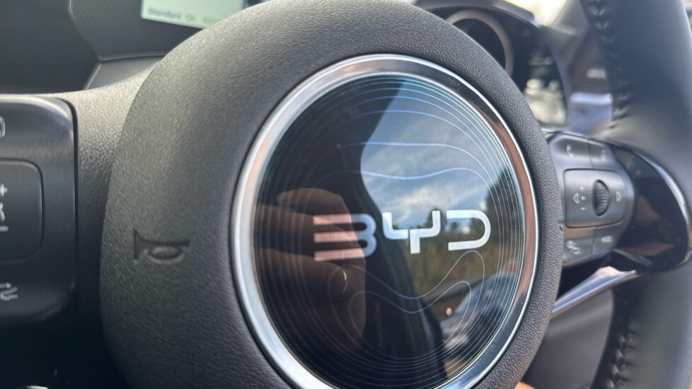 Used BYD Dolphin 2025 for sale - 76037590: Photo 35