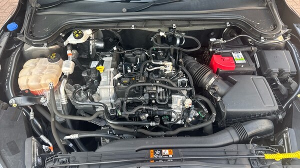 Used Ford Focus 2022 for sale - 76190967: Photo 16