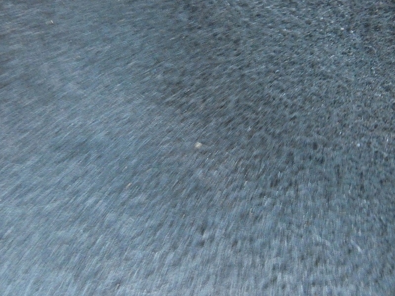 Used Nissan Navara 2019 for sale - 76903783: Photo 35