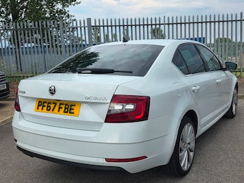 Used Skoda Octavia 2017 for sale - 79142905: Photo