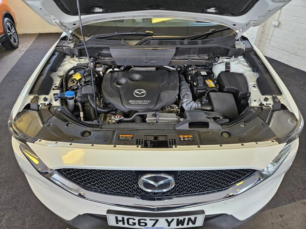 Vehicle 44