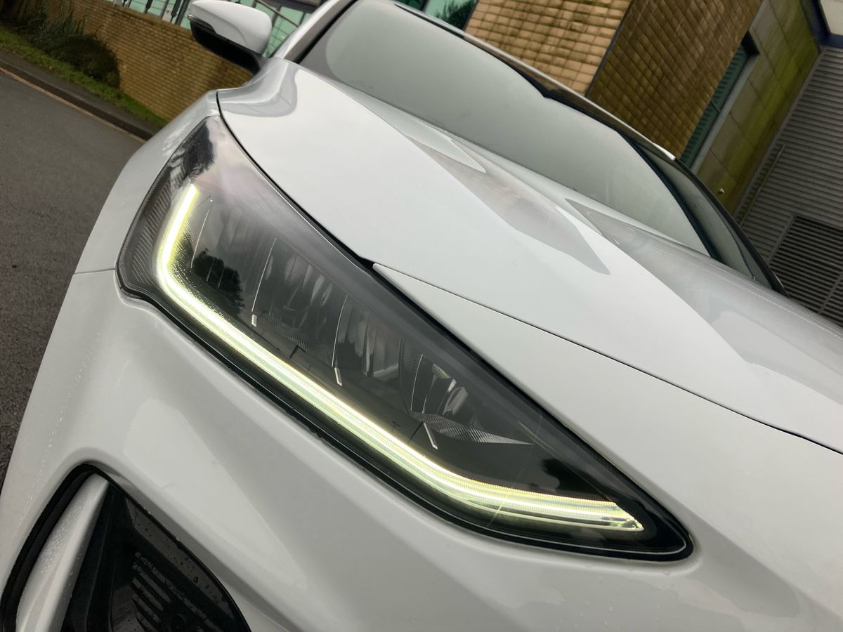 Used Ford Focus 2026 for sale - 77113663: Photo 13