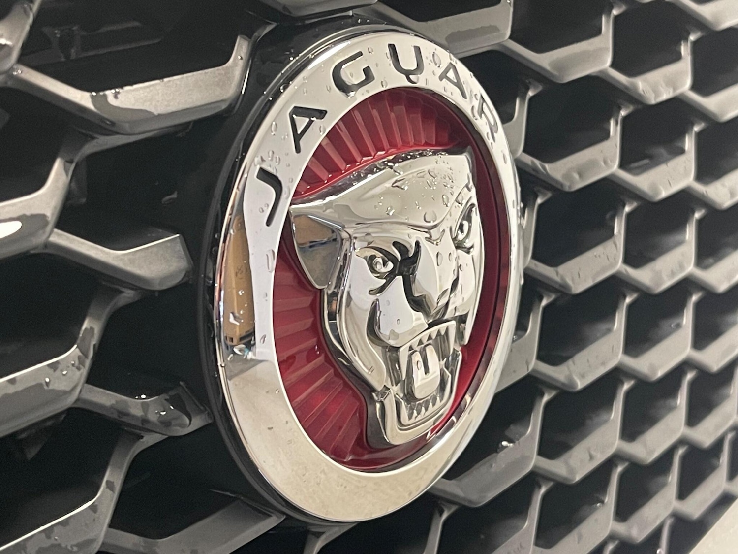 Used Jaguar E-Pace 2020 for sale - 76457085: Photo 42