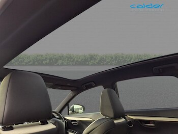 Used Lexus NX 2020 for sale - 77693648: Photo