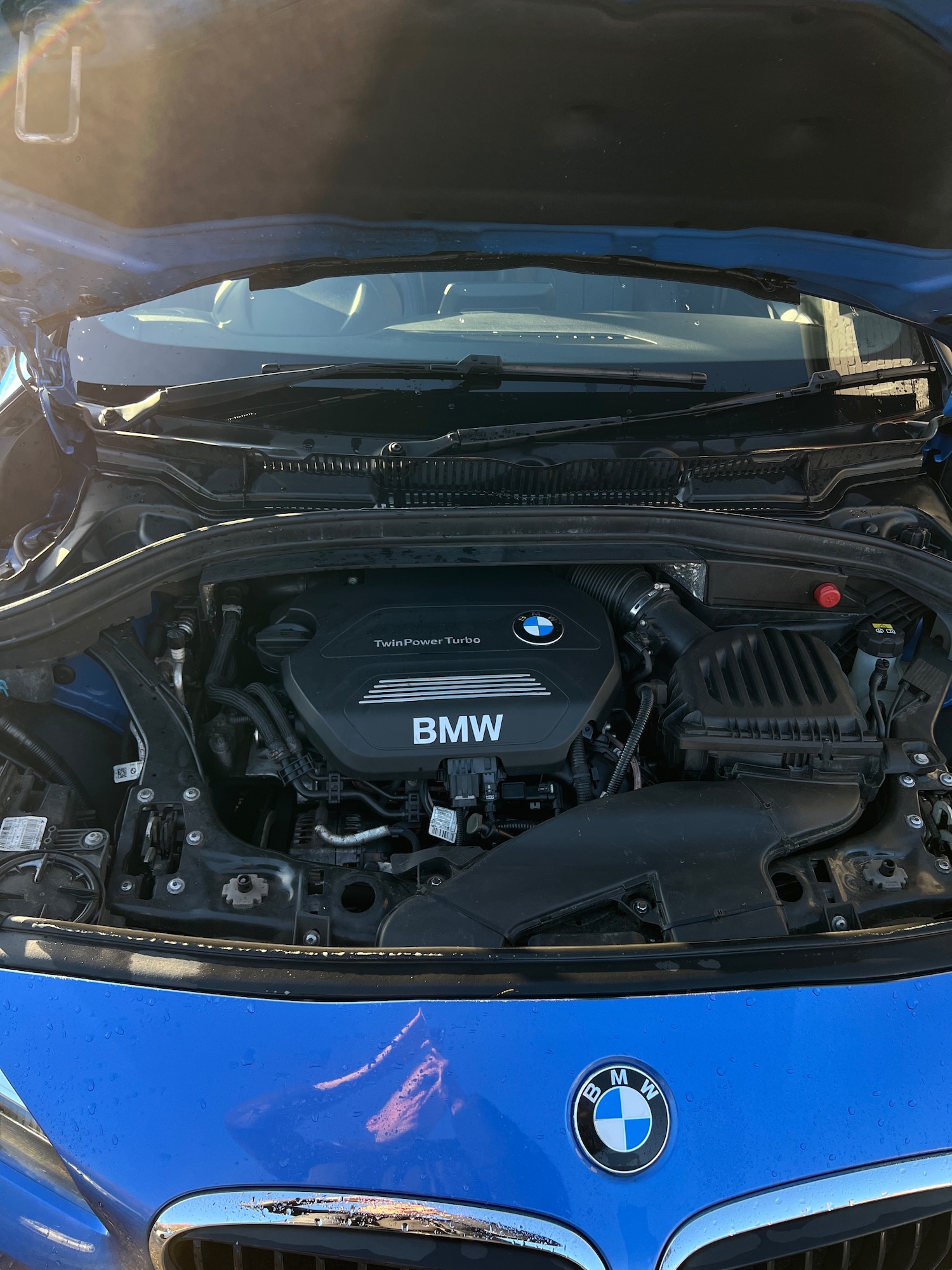 Used BMW 2 Series 2016 for sale - 76531637: Photo 10