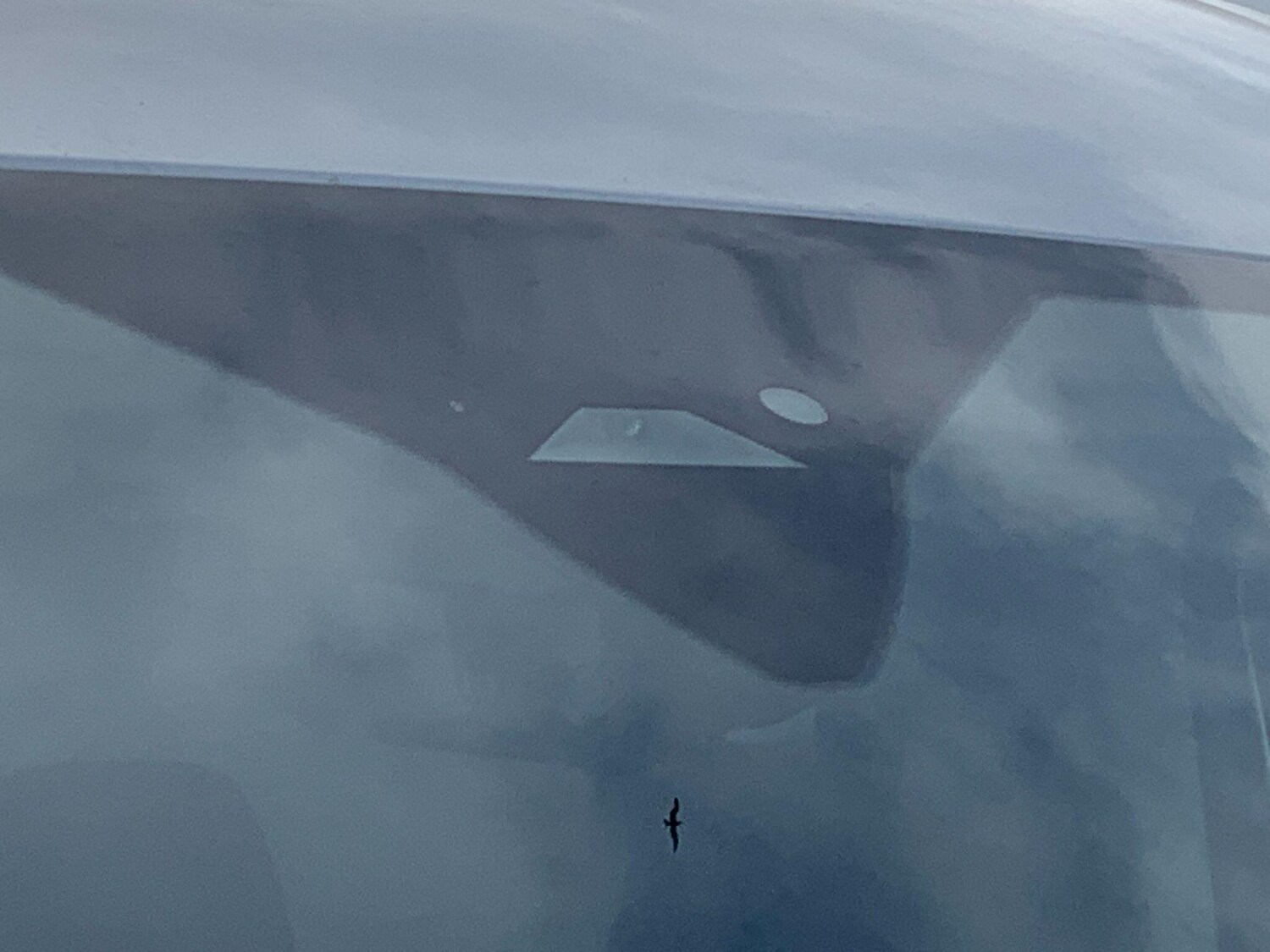 Used Ford Transit 2024 for sale - 77853989: Photo 61