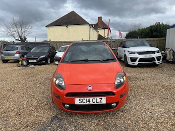 Used Fiat Punto 2014 for sale - 77703292: Photo