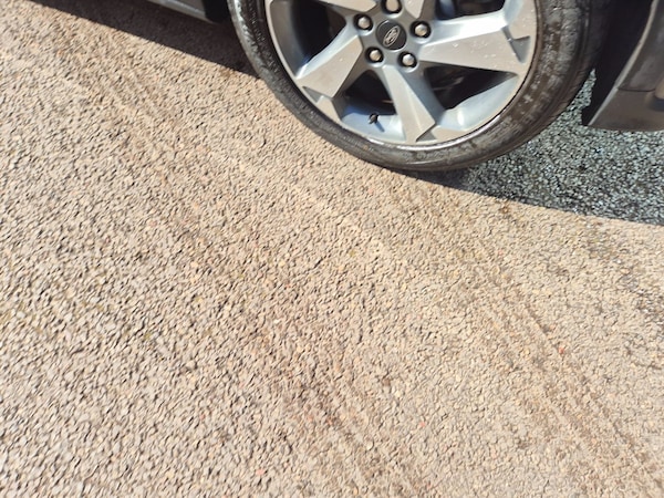 Used Ford Focus 2020 for sale - 76146305: Photo 6