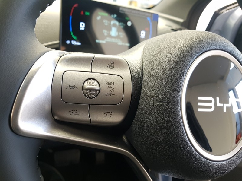 Used BYD Dolphin 2026 for sale - 77832363: Photo 15