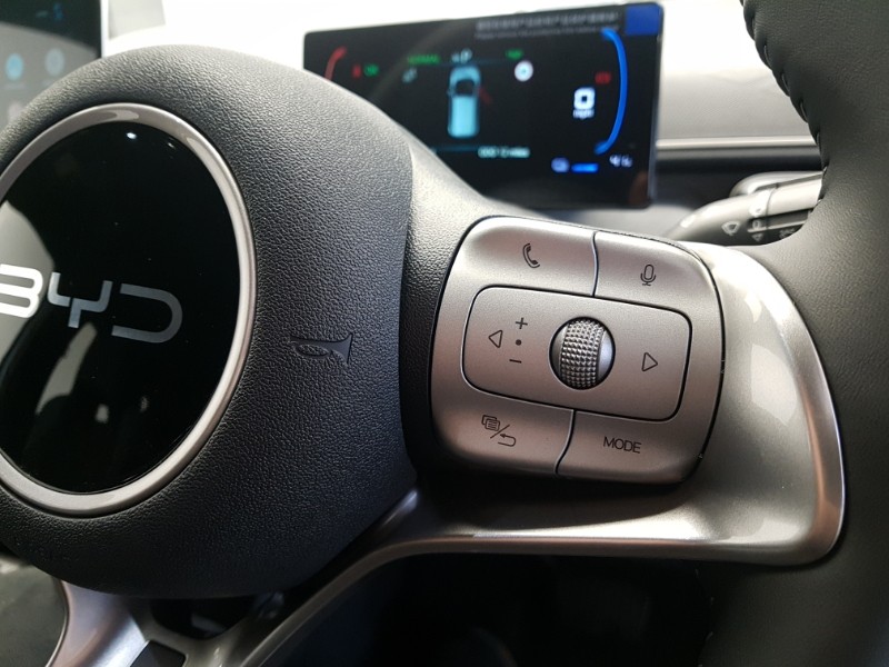 Used BYD Dolphin 2026 for sale - 77832363: Photo 16