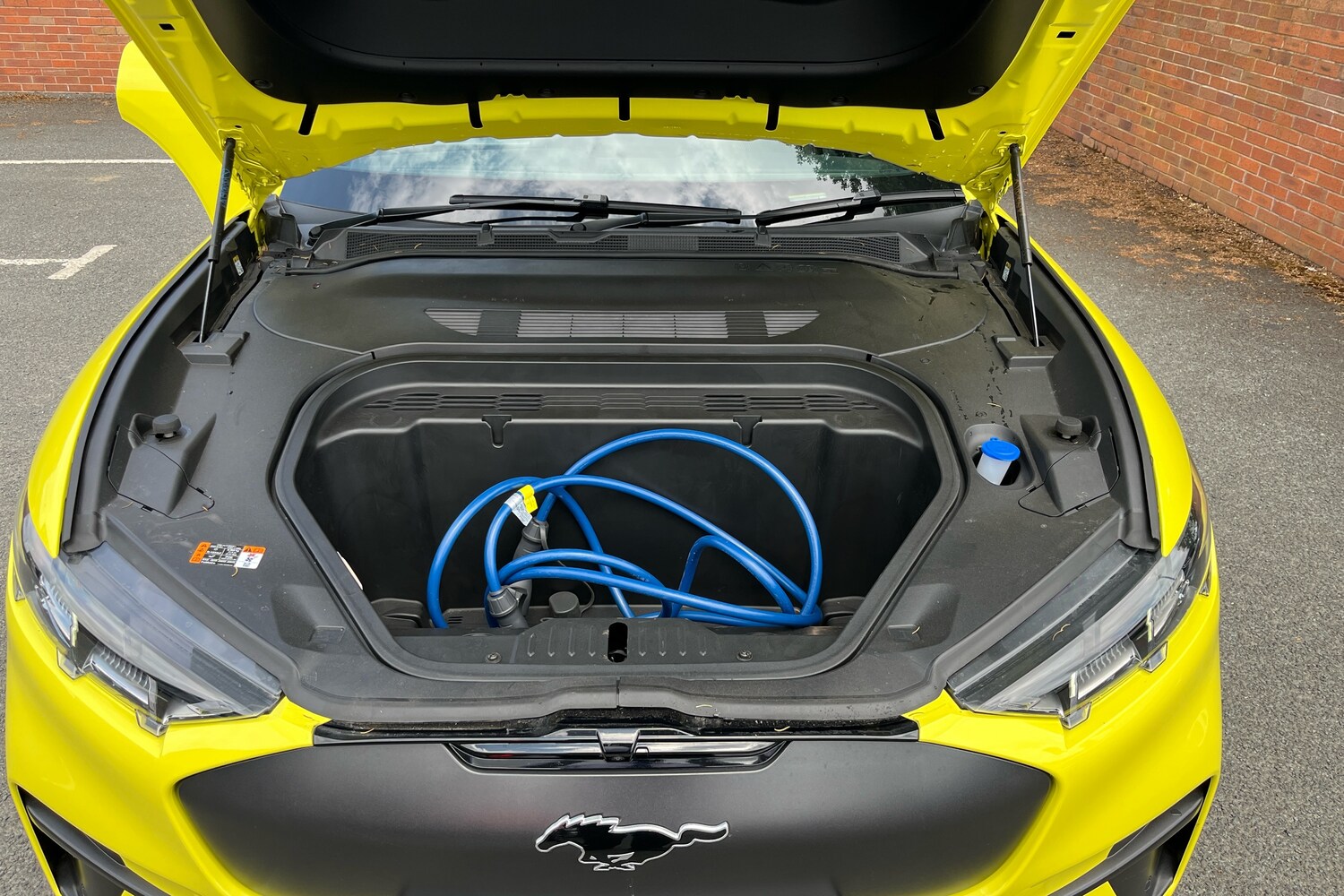 Used Ford Mustang Mach-E 2025 for sale - 76999062: Photo 22