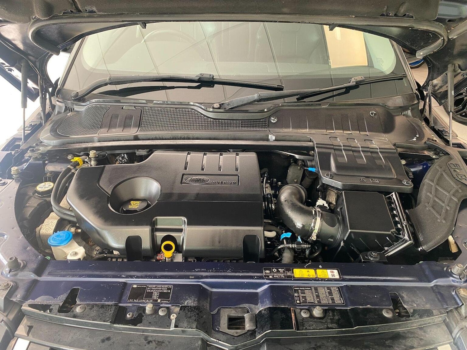 Vehicle 31