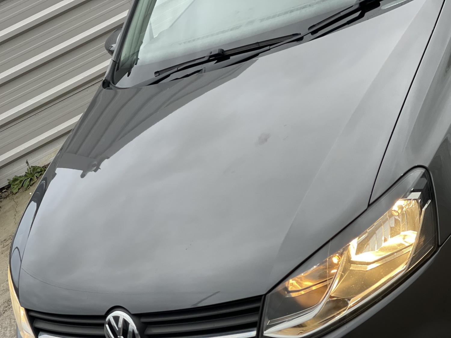 Used Volkswagen Polo 2017 for sale - 77385164: Photo 15