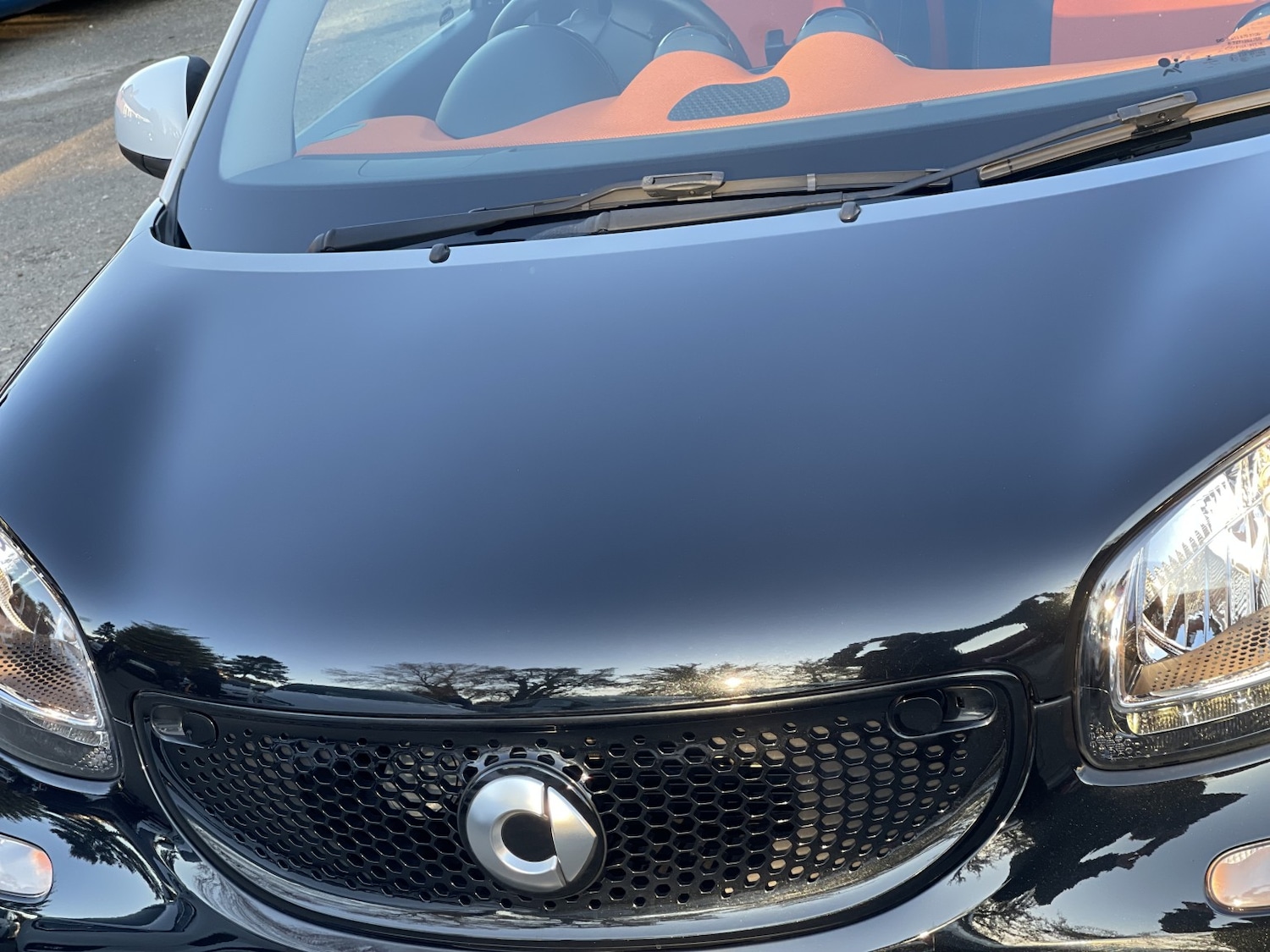 Used smart forfour 2015 for sale - 77981816: Photo 20