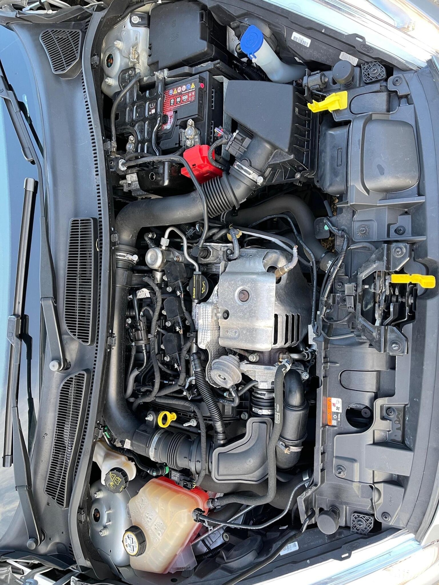 Used Ford Fiesta 2016 for sale - 75968624: Photo 30
