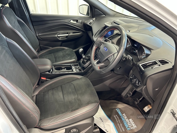 Used Ford Kuga 2019 for sale - 77082175: Photo 12