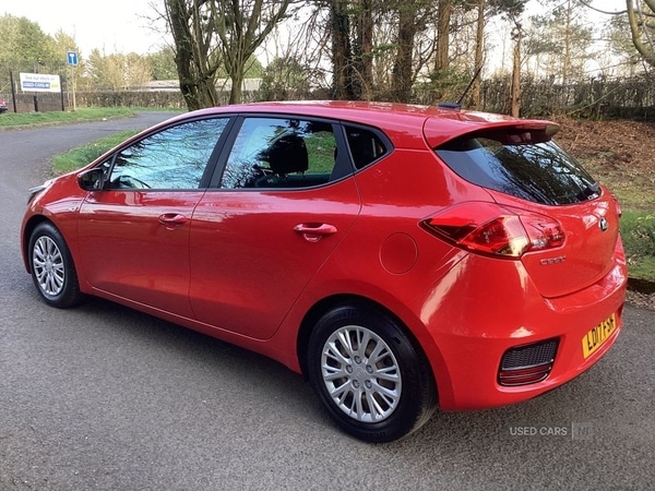 Used Kia Ceed 2017 for sale - 77970886: Photo 8