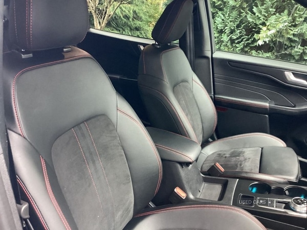 Used Ford Kuga 2024 for sale - 76318645: Photo 10