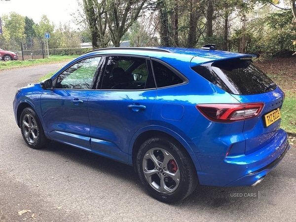 Used Ford Kuga 2024 for sale - 76318645: Photo 5