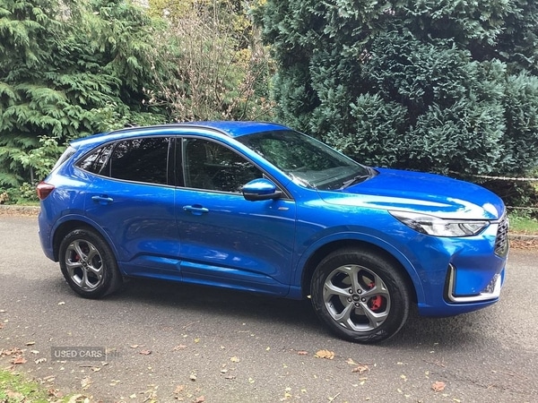 Used Ford Kuga 2024 for sale - 76318645: Photo 6