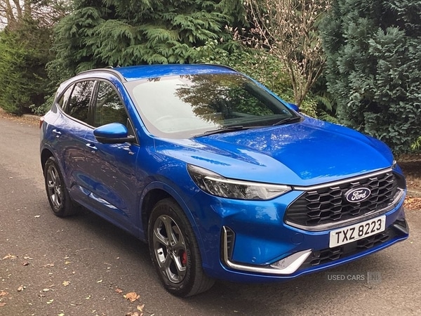 Used Ford Kuga 2024 for sale - 76318645: Photo 7