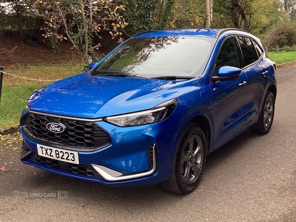 Used Ford Kuga 2024 for sale - 76318645: Photo 9