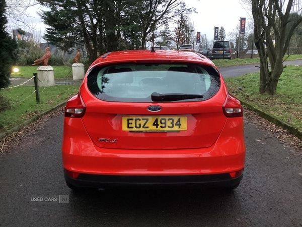 Used Ford Focus 2017 for sale - 77401073: Photo 13