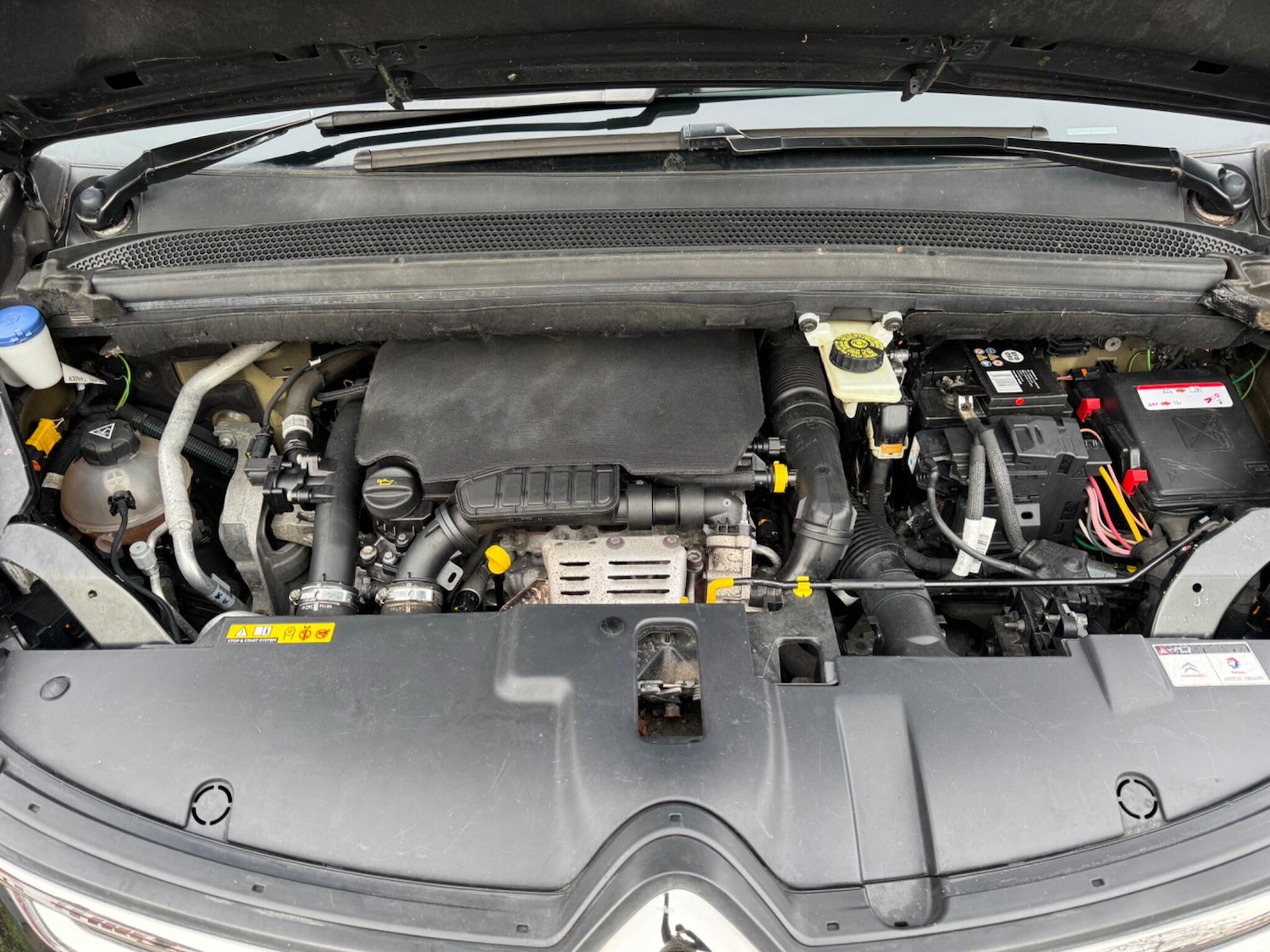 Used Citroen C4 Picasso 2015 for sale - 77396191: Photo 13