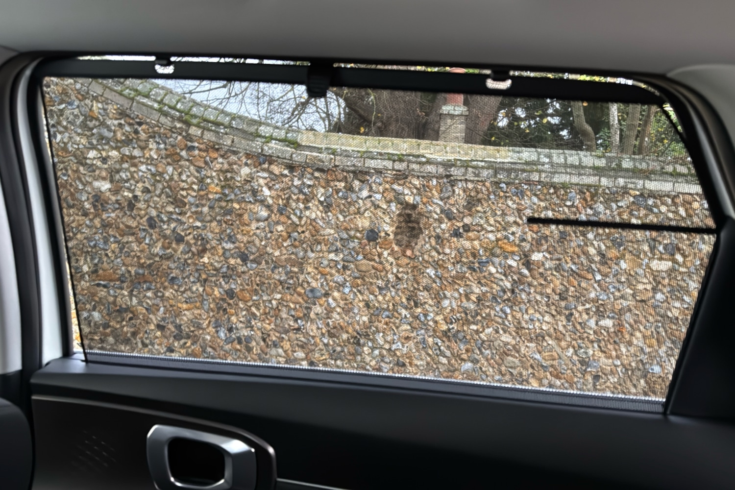 Used Kia Sorento 2025 for sale - 76529287: Photo 24