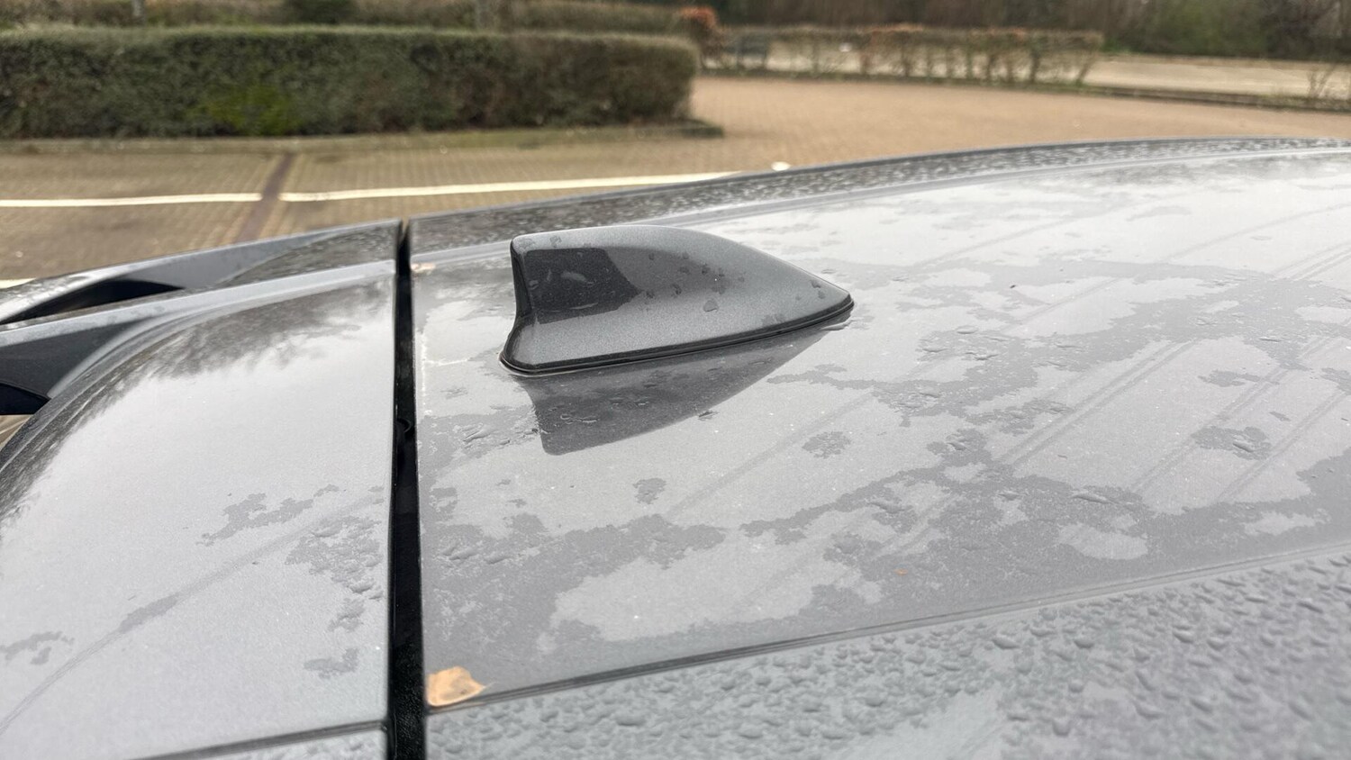 Used Toyota C-HR for sale - 77854149: Photo 50