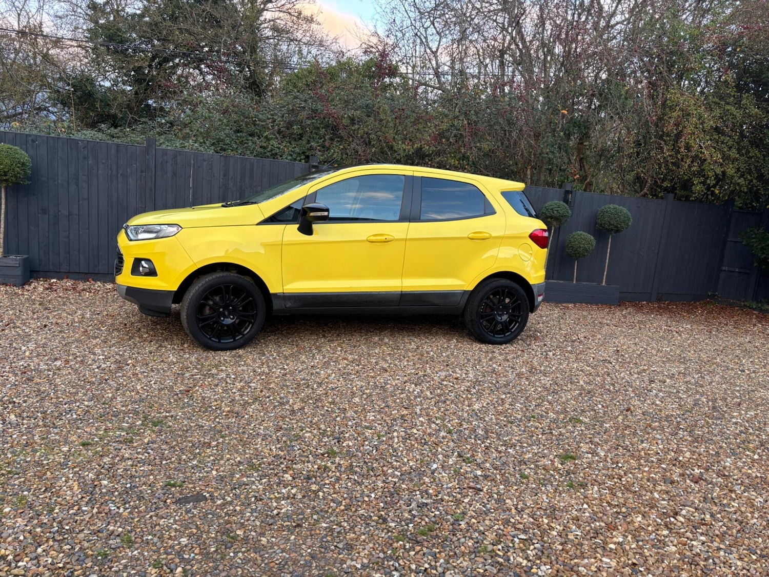 Used Ford Ecosport 2017 for sale - 76644940: Photo 11