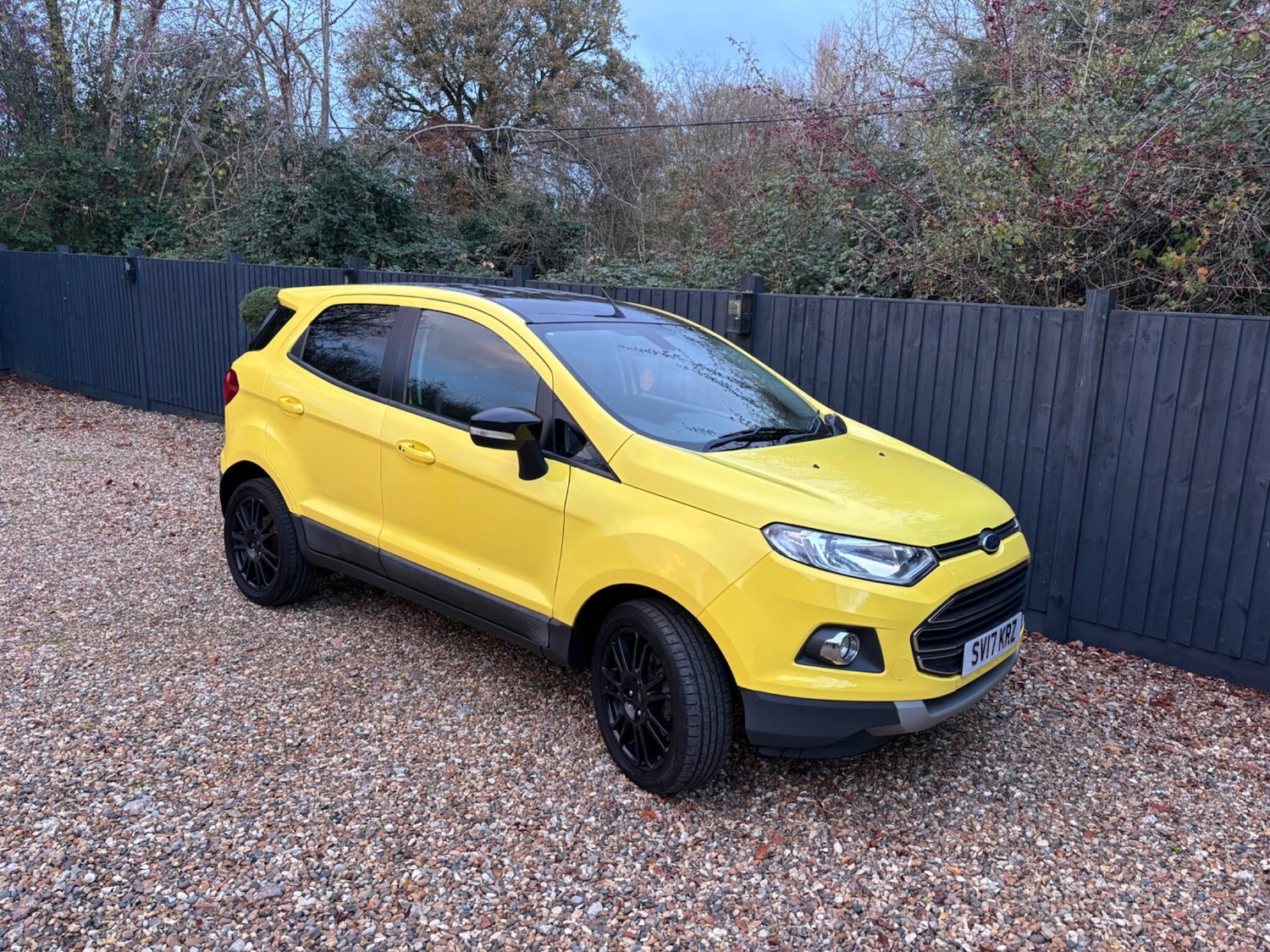 Used Ford Ecosport 2017 for sale - 76644940: Photo 13