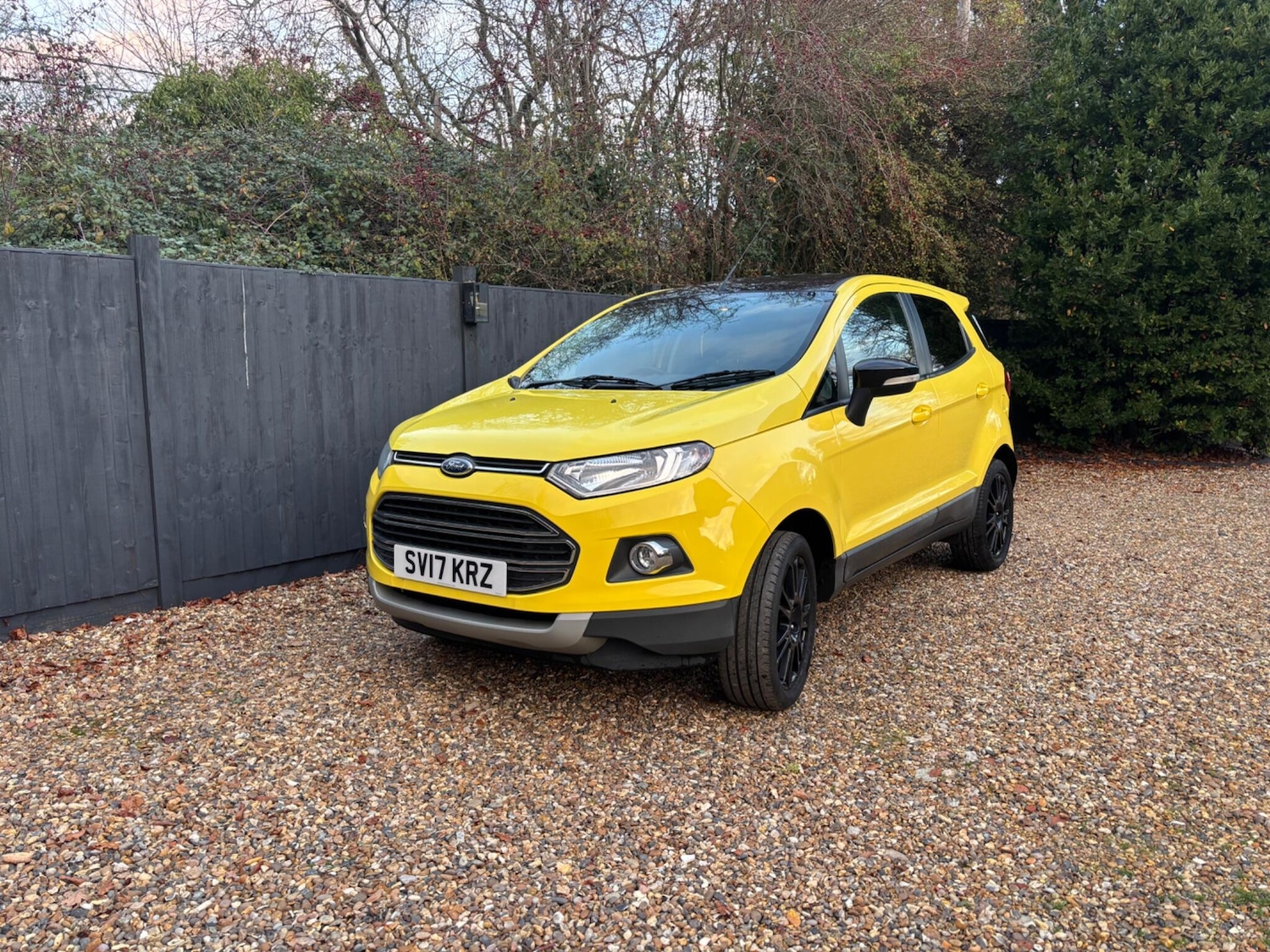 Used Ford Ecosport 2017 for sale - 76644940: Photo 20