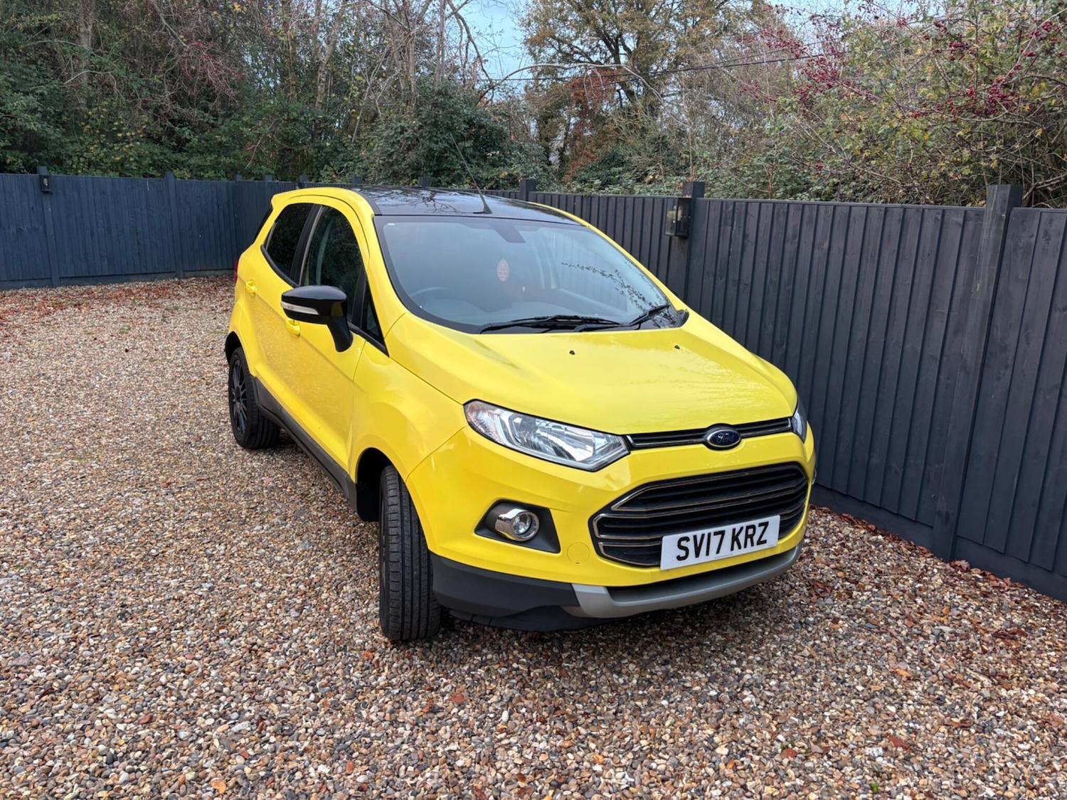 Used Ford Ecosport 2017 for sale - 76644940: Photo 21