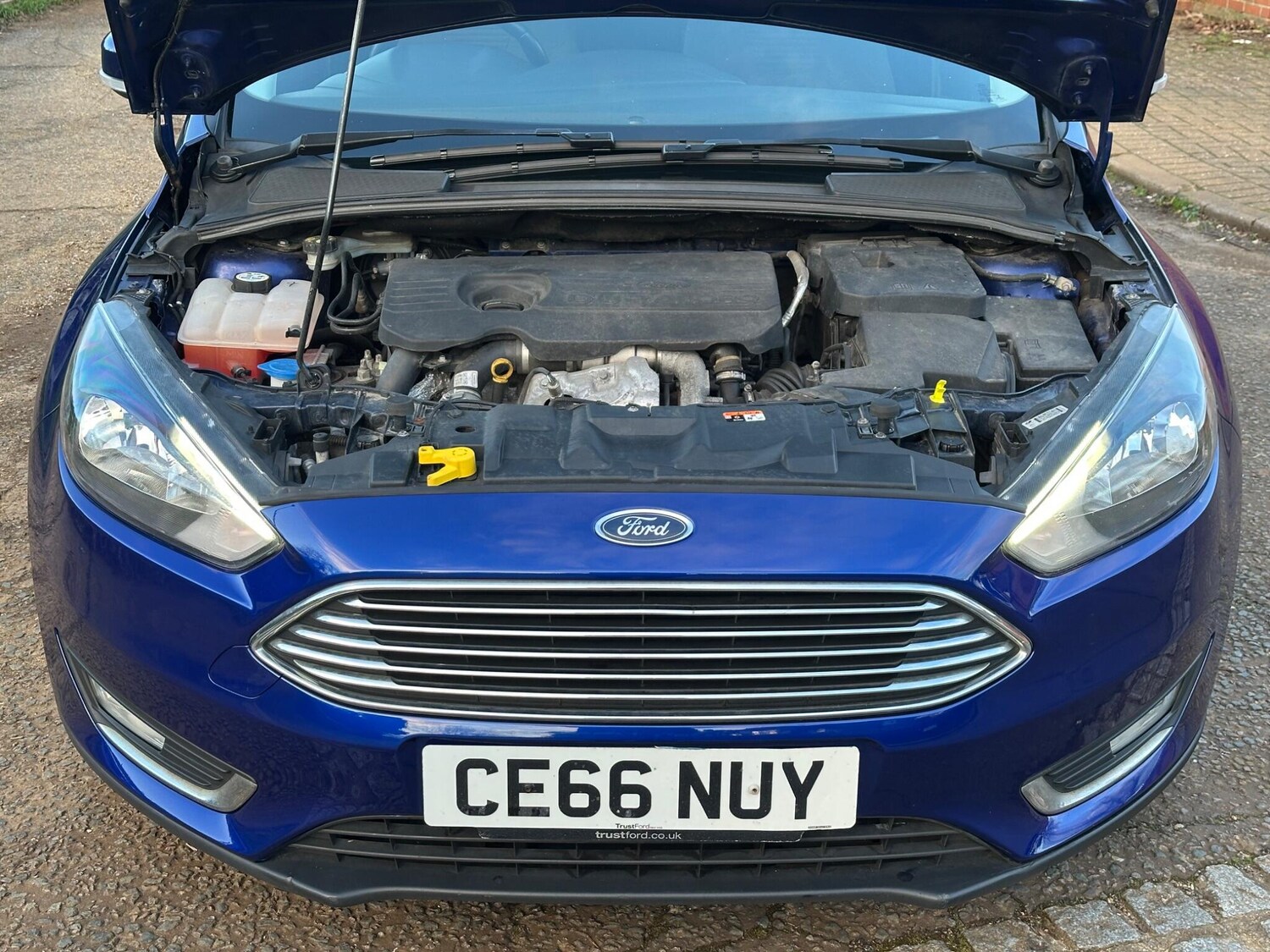 Used Ford Focus for sale - 77510198: Photo 29