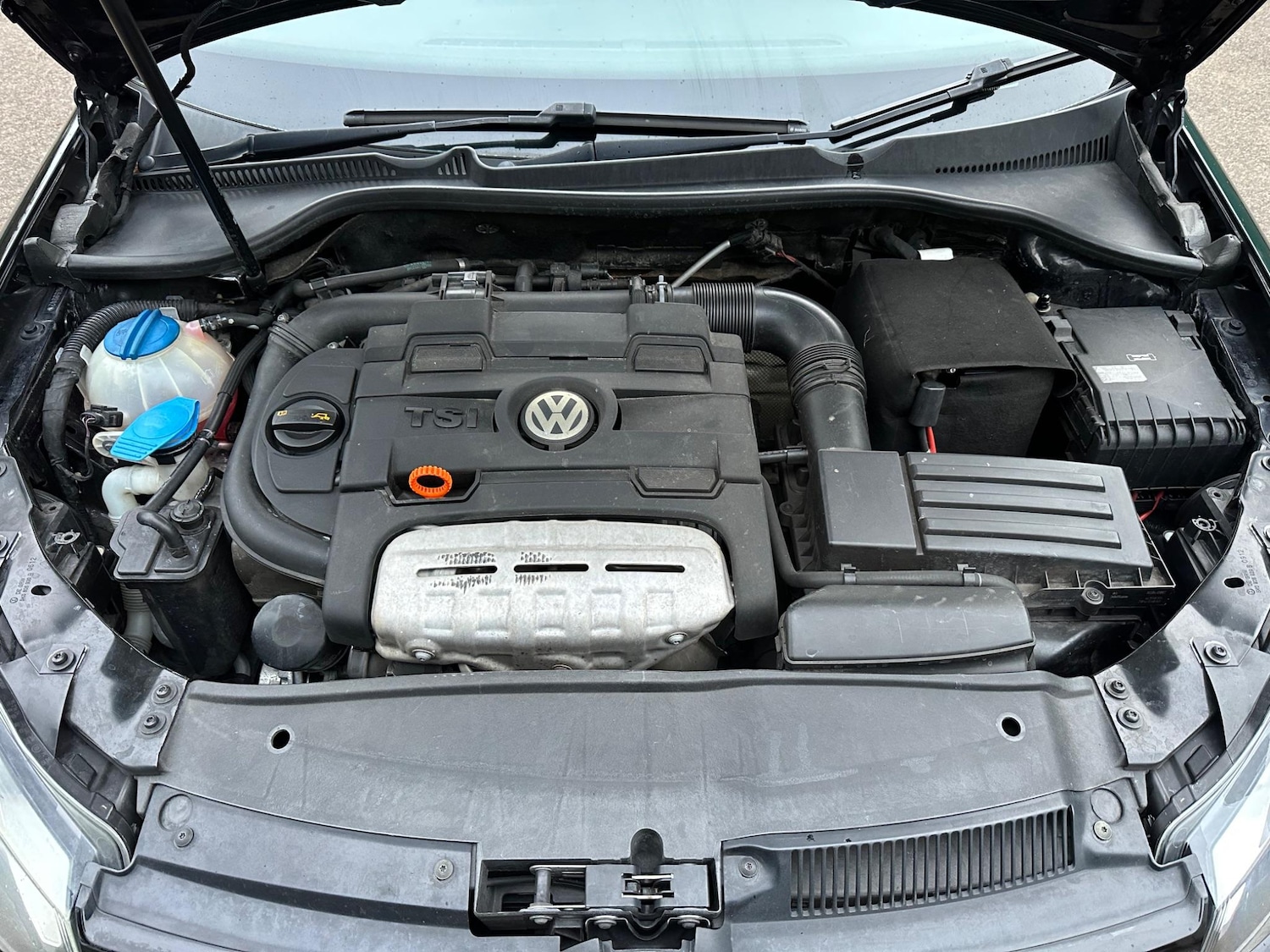 Used Volkswagen Golf 2023 for sale - 77346486: Photo 26