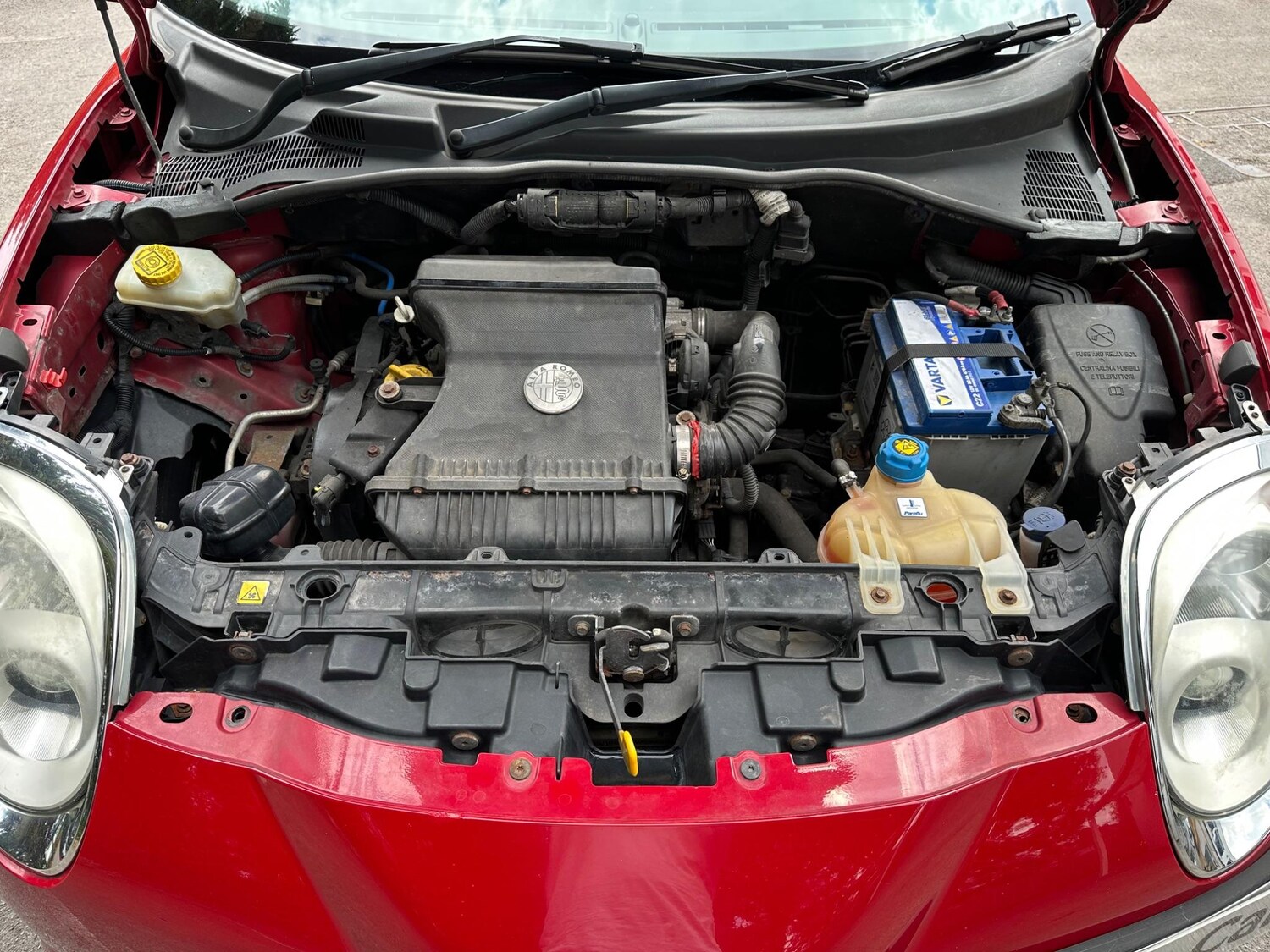 Used Alfa Romeo MiTo 2009 for sale - 77346481: Photo 25