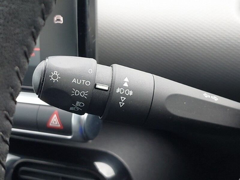 Used Citroen C4 Cactus 2020 for sale - 77664232: Photo 13