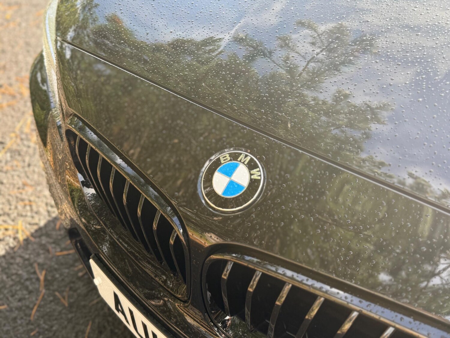 Used BMW 2 Series 2016 for sale - 76370499: Photo 41